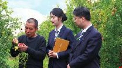 邮储银行临潼区支行:石榴映红致富路 金融赋能产业兴