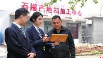 邮储银行临潼区支行:石榴映红致富路 金融赋能产业兴
