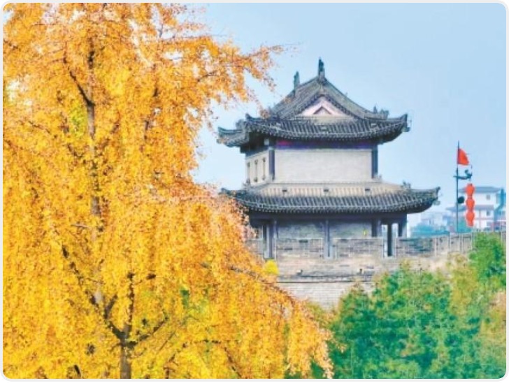 秋染长安色斑斓　霜落成诗醉流年