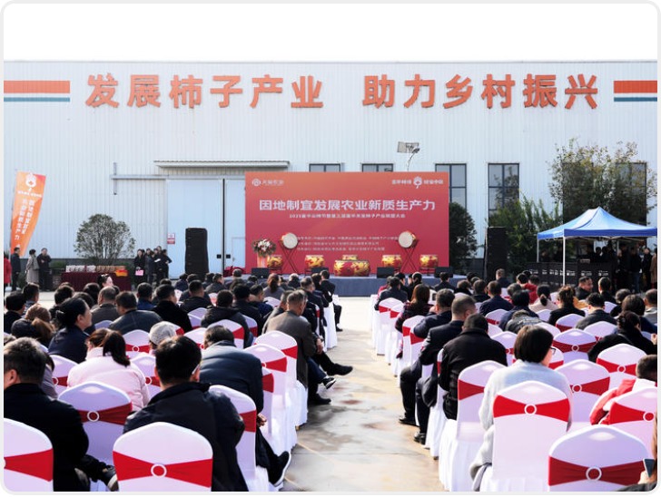 因地制宜发展农业新质生产力 ——2025富平尖柿节暨第三届富平天玺柿子产业联盟大会召开