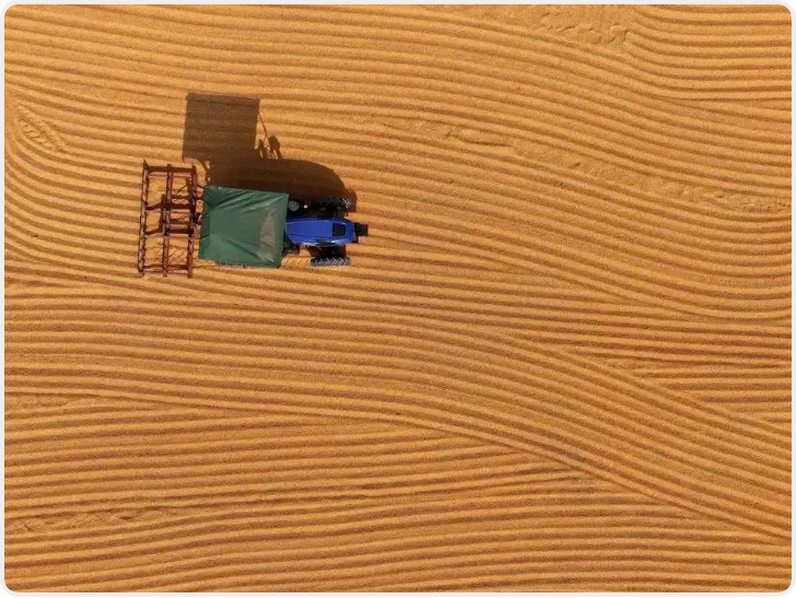 全国秋粮主产区收获已超八成半