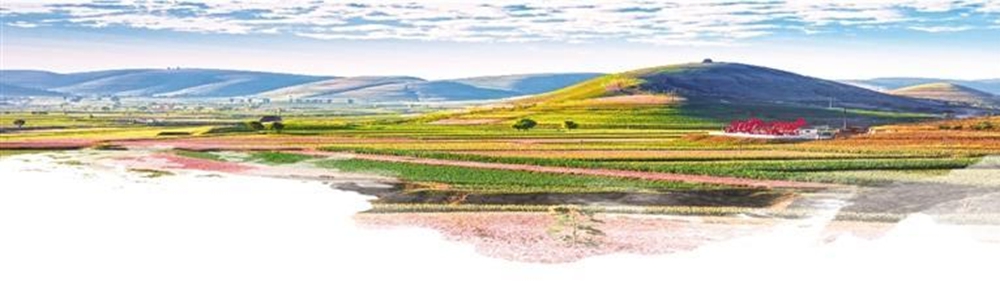 榆林 治沙绿化的新答卷