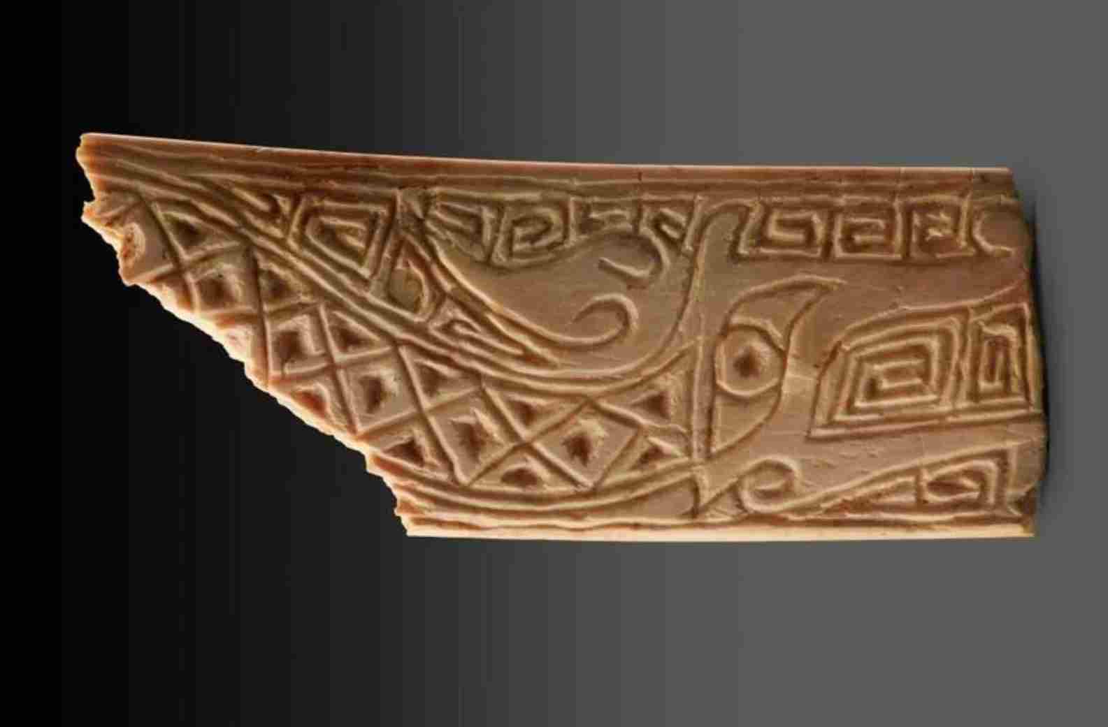 清涧寨沟遗址考古发现6种“外来”物种 出土了一批重要动物骨骼