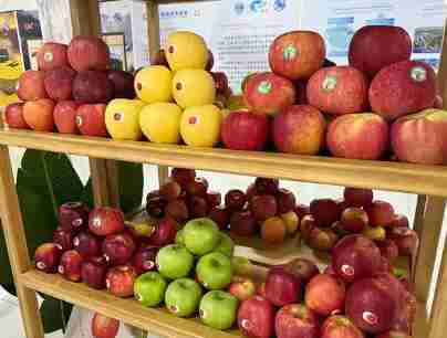 第32届杨凌农高会圆满落幕 5天吸引161万人次参观