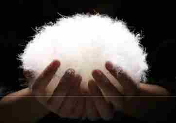 300元以下难购真羽绒服？从羽绒服成本和标准看产品质量