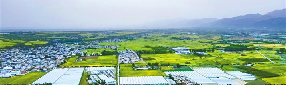 西安“菜篮子”升级记