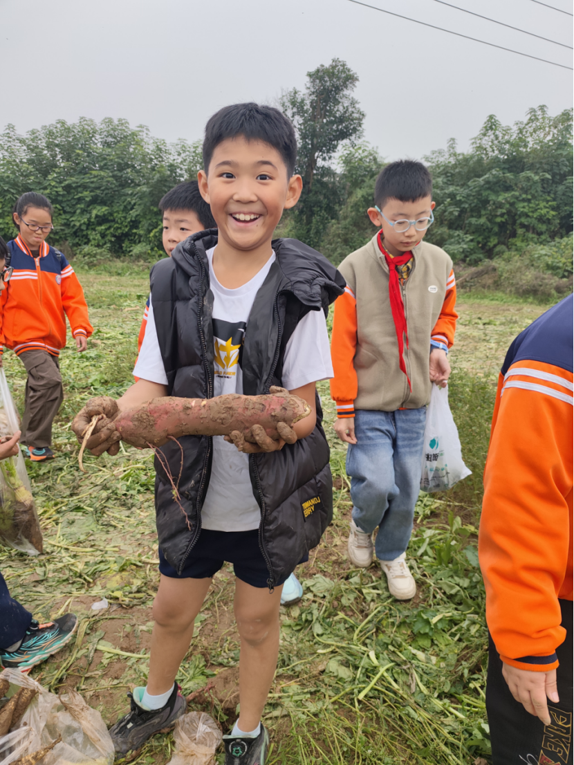 43FdomkHvopyEzmy.png image.png