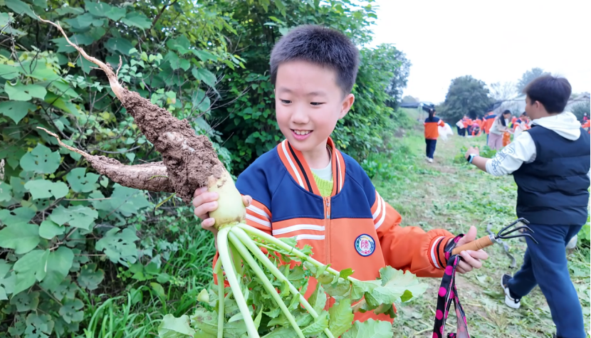 8eOA5V3YB6zmsKzS.png image.png