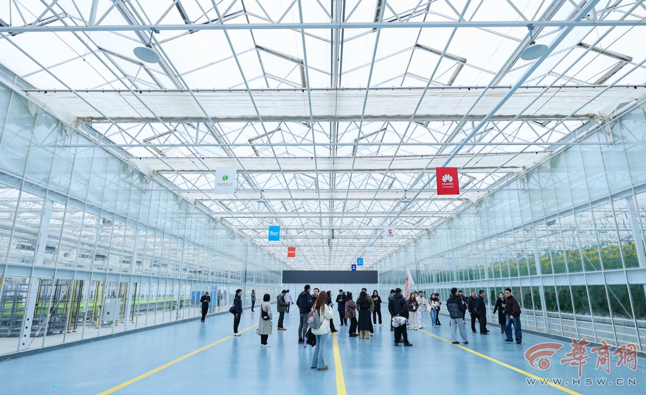 5Pl9XjkdPbDQBLVg.png 图片5.png