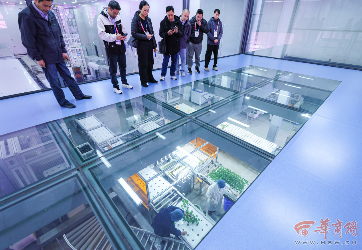 QN2tjDIZpqCBGIWx.png 图片6.png