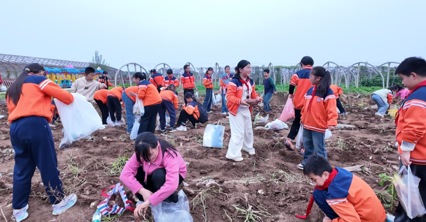 Jgfbo9brg5MWlcPm.png image.png