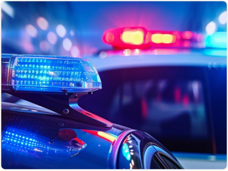 日本“熊害”致死人数创新高 政府讨论应对措施