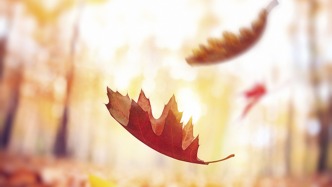 香港演员甄志强去世