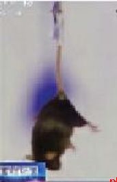 神舟二十一号载人飞船今日23:44发射