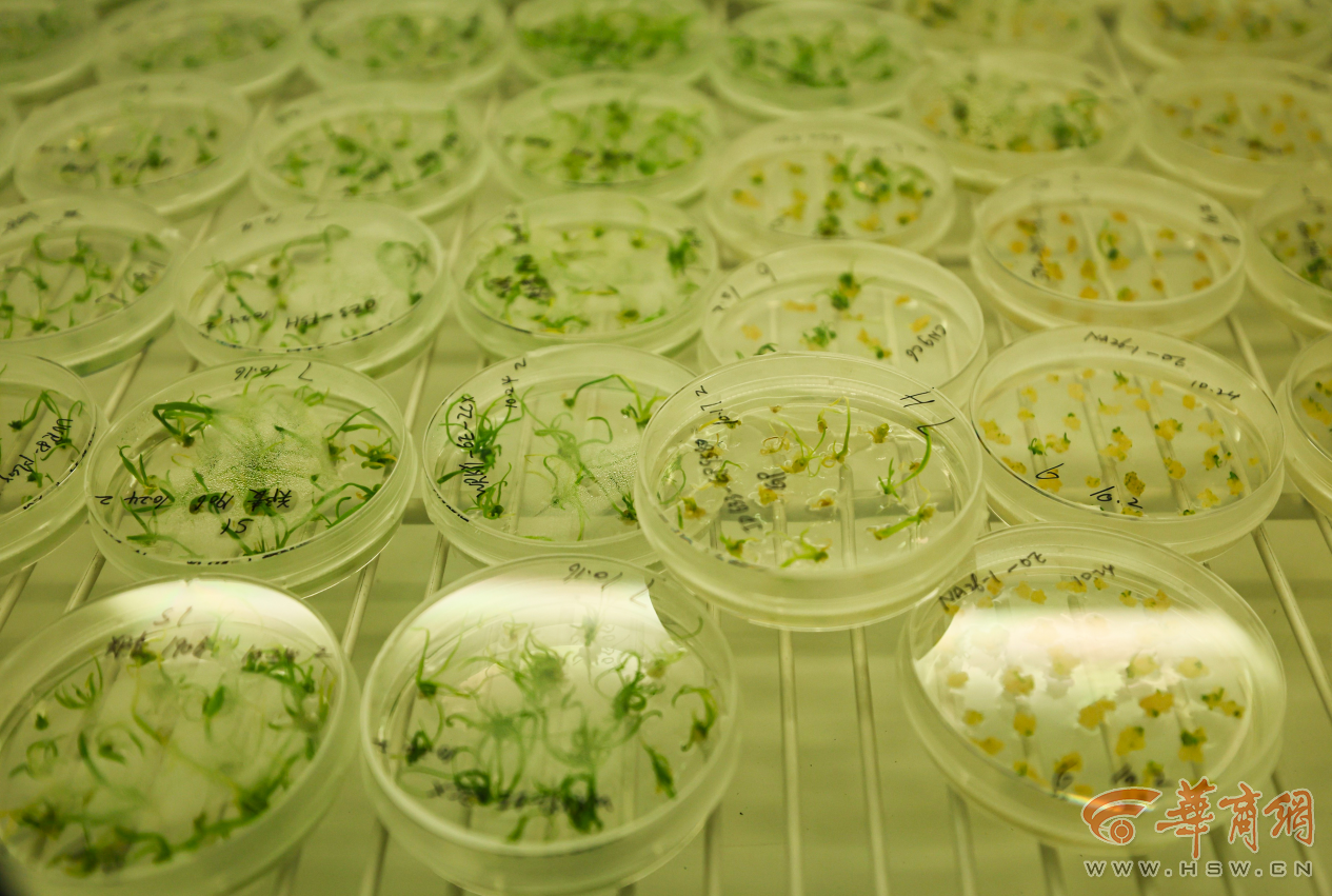 oezDHbJfvlINHkif.png 图片4.png