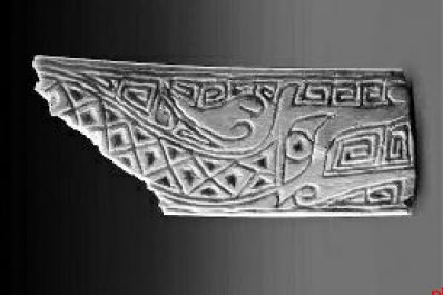 清涧寨沟遗址发现6种“外来”物种