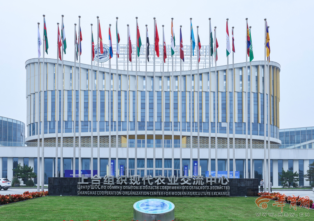 7GZaxSd9AEvgYGri.png 图片9.png