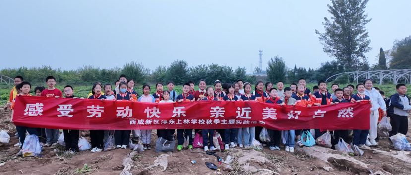 oeRZbKsc7aTrTSQ1.png image.png