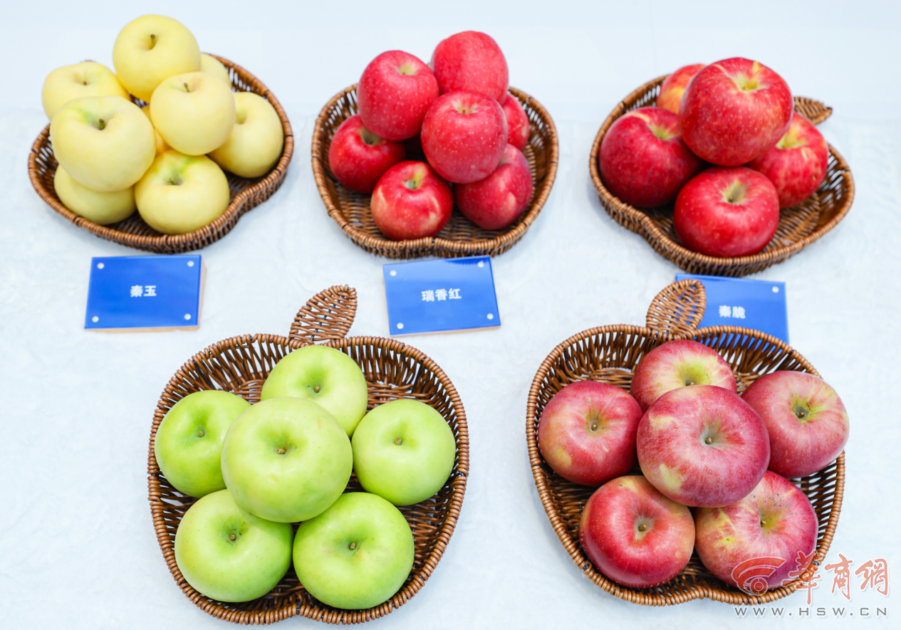 UogQLNmylclQwYHX.png 图片2.png