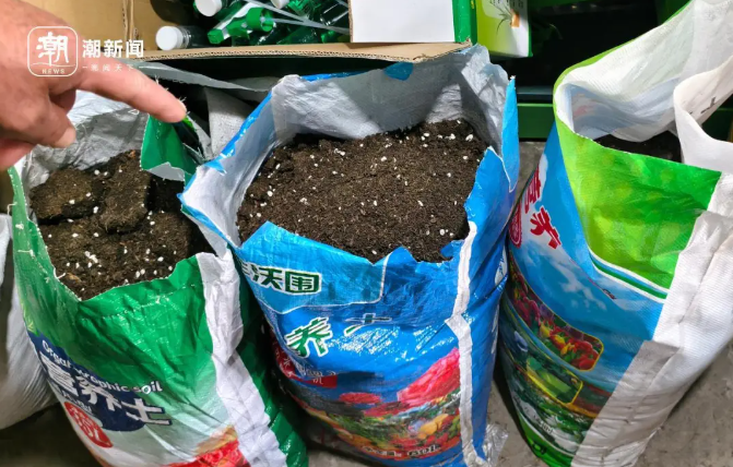 工业废土伪装成养花土被曝光 自制营养土成潮流