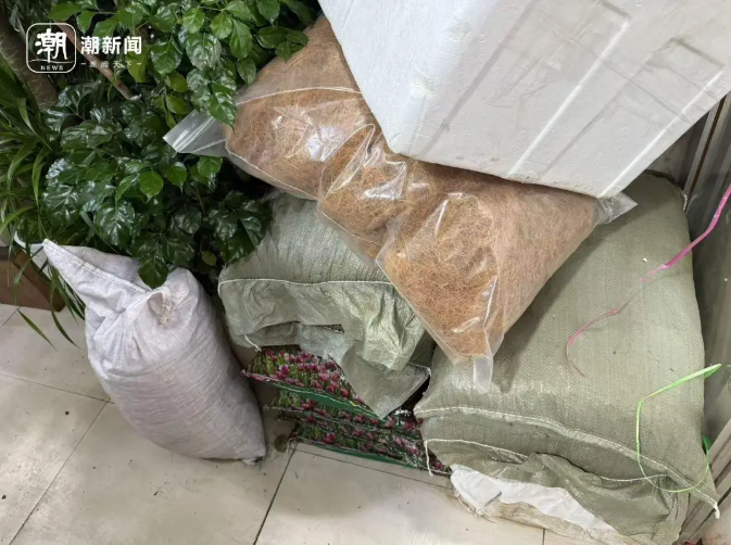 yWwkGZD6Q6GPRQfr.png wechat_2025-11-01_175924_016.png