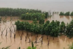 陕西压实责任落细措施做好水旱灾害防御