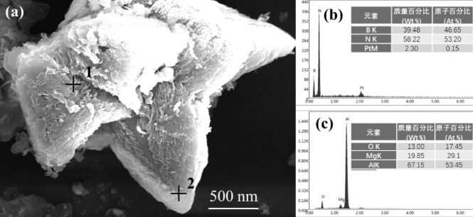 NpvhD9EtT1dj8aOs.png image.png