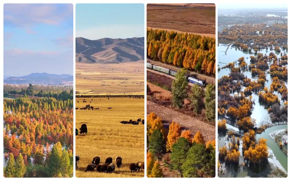 赏秋正当时！“文旅+”新业态为秋日经济注入新活力