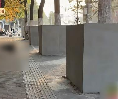 西安多棵行道树被指用水泥砌墙围起来 绿化部门回应