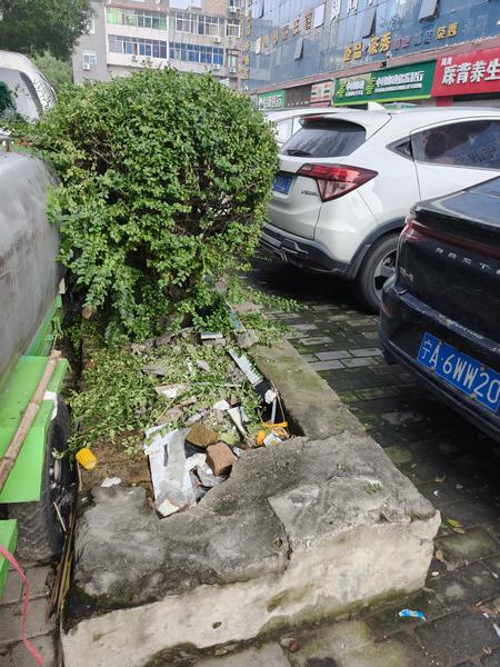 小8跑街|工农路绿化带内堆积垃圾杂物