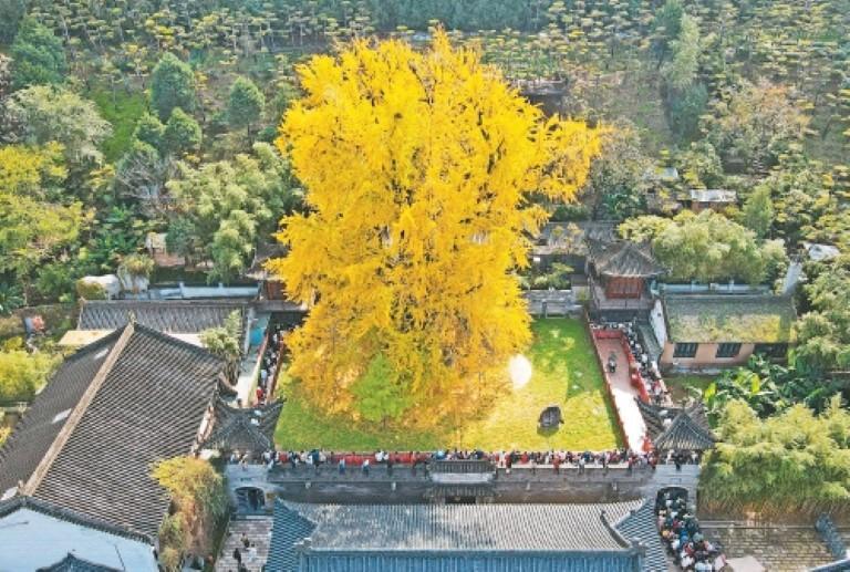 B7IDjFuN8c9U2AG2.jpg d6cf6f0e-b2d3-415f-a694-7ae09362ba82.jpg