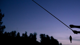 湖南一男子夜钓时遭枪击头部：嫌疑人已归案 疑被认作猎物