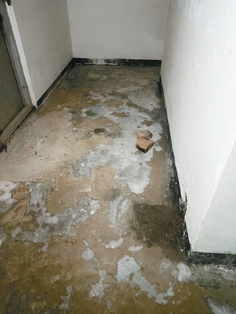 OwzqIJZLyeDOi4QL.jpg 391e0de4-0592-45cb-baf1-ca6589f8d841.jpg