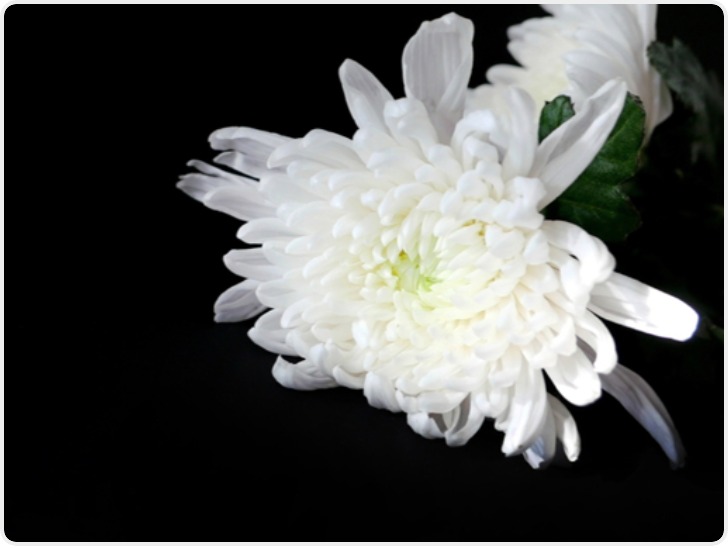 朝鲜最高人民会议常任委员会前委员长金永南逝世