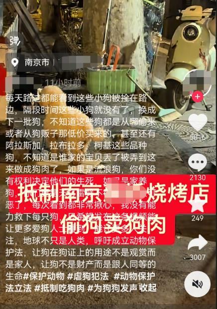 网友造谣南京一烧烤店“偷狗卖肉”致其被网暴 律师：虽然删除了视频造谣者仍要担责