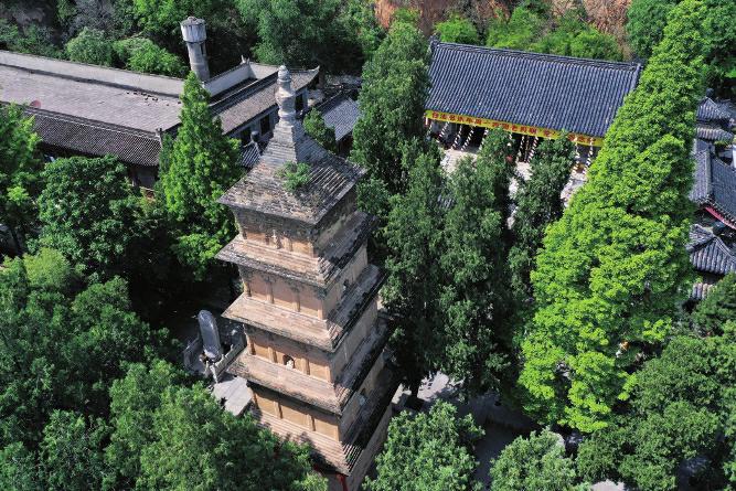 少陵原上觅禅踪 兴教寺