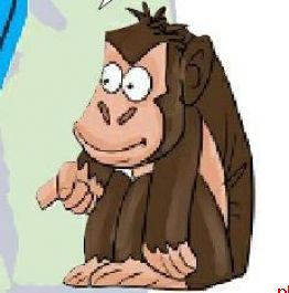 太空小鼠今天随神二十回家