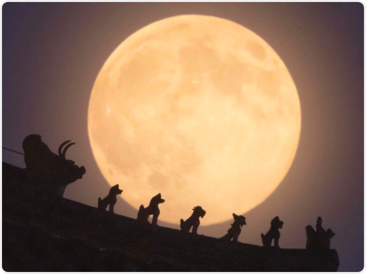 今年“个头”最大的“超级月亮”来啦