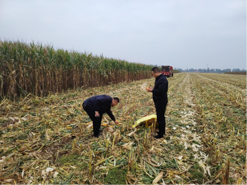 YWWR2cUlwAwt7Dxo.png image.png