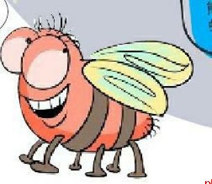 太空小鼠今天随神二十回家