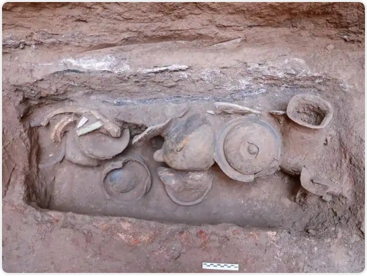 铜川纸坊遗址考古取得重要收获 出土骨器等一批珍贵遗物