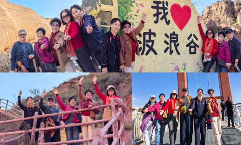 jhD6H7AJ2WGW75dq.png image.png