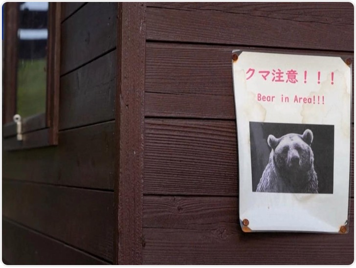 日本再发生熊伤人事件 3人受伤