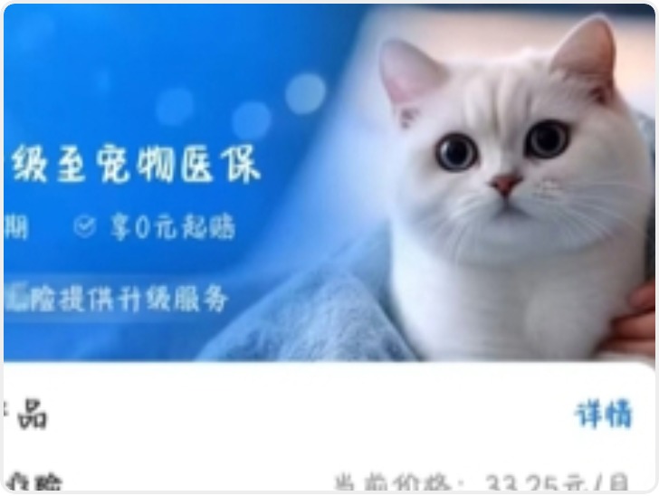 宠物保险热潮背后：理赔难、续保难、定点医院频繁变动