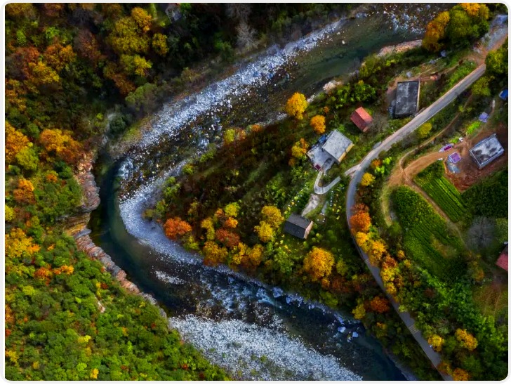 对查实破坏秦岭生态环境的线索一次性奖励举报300元-10000元