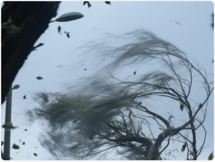 多地海事部门启动应急响应防御台风“凤凰”