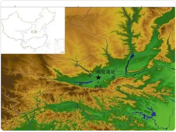 最新考古研究发现：“秦人东进”推动小麦向东传播