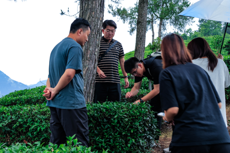 A7nlEJxapciZIhDM.png image.png