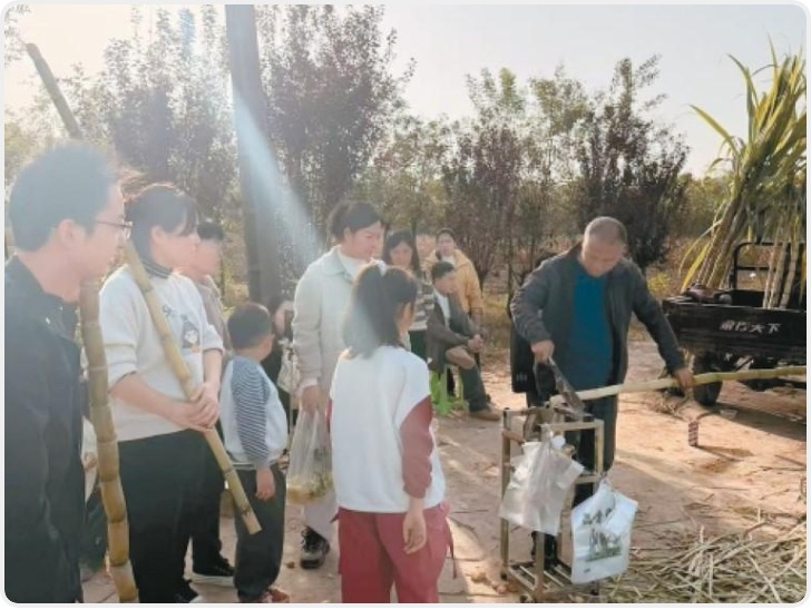 政企联动点亮助农新思路 西安周至化解甘蔗滞销