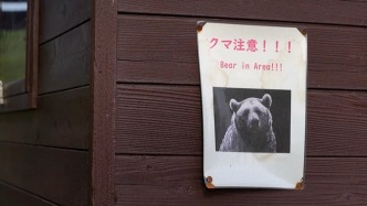 熊出没致日本一机场跑道关闭 警方正进行搜索